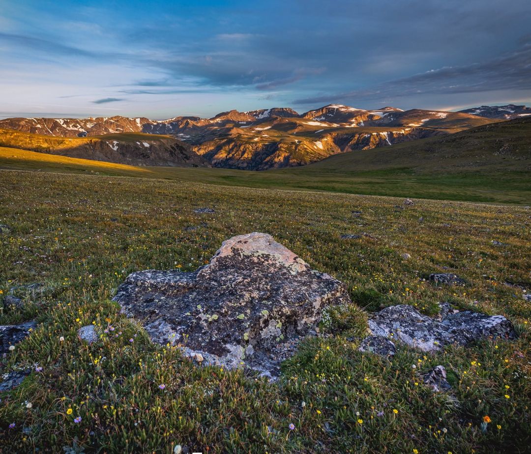 Beartooth Highway — Alpine Meadow, Montana fine art photograph