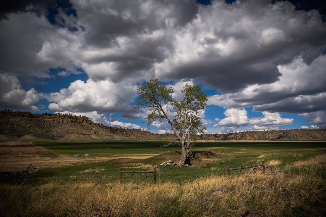 Better Days, Montana fine art photograph