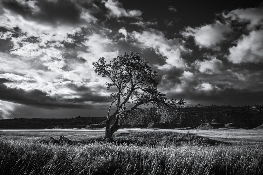 Lipp Road — Black & White, Montana fine art photograph