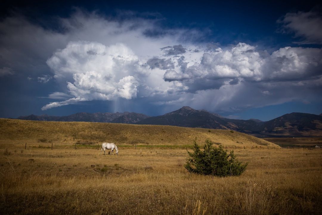 Paradise Valley — Black & White, Montana fine art photograph
