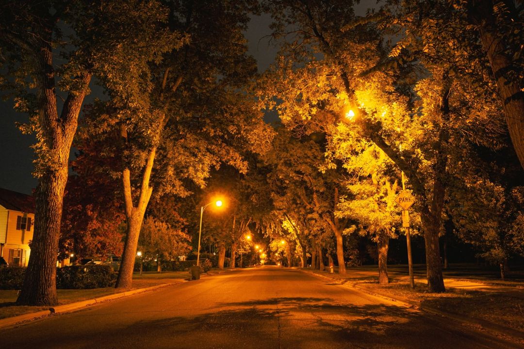 Park Hill at night under the stars
