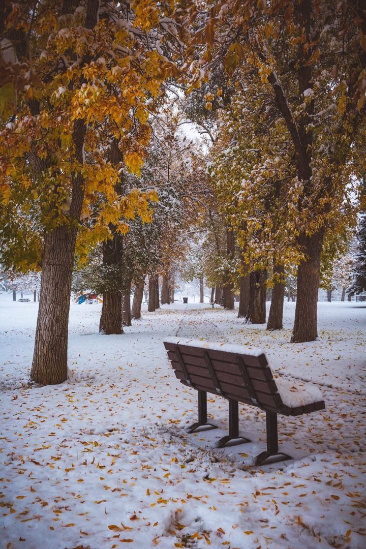 Pioneer Park — Snow & Fall, Montana fine art photograph