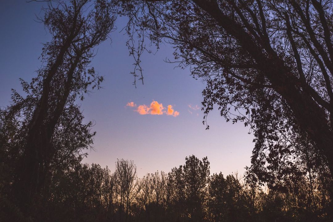Tangerine Sky, Riverfront Park, Montana fine art photograph
